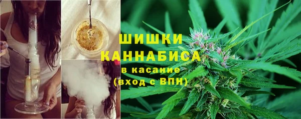 индика Белокуриха